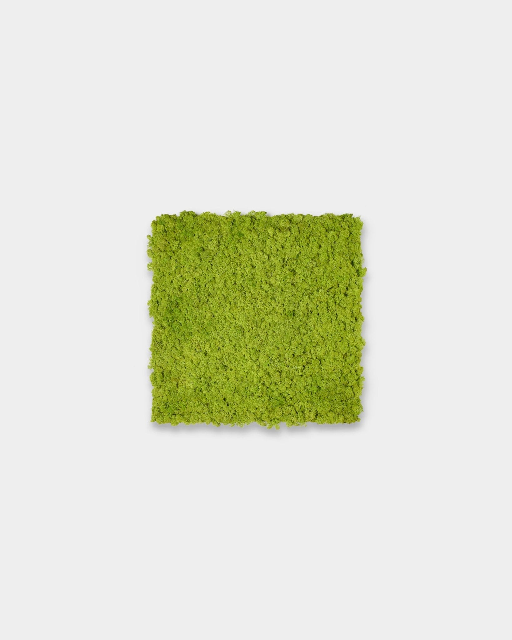 Akupixel Akoestisch paneel in Apple Green, 60x60cm, van WoodUpp gepresenteerd als een vierkant accent tegen een effen lichtgrijze achtergrond.