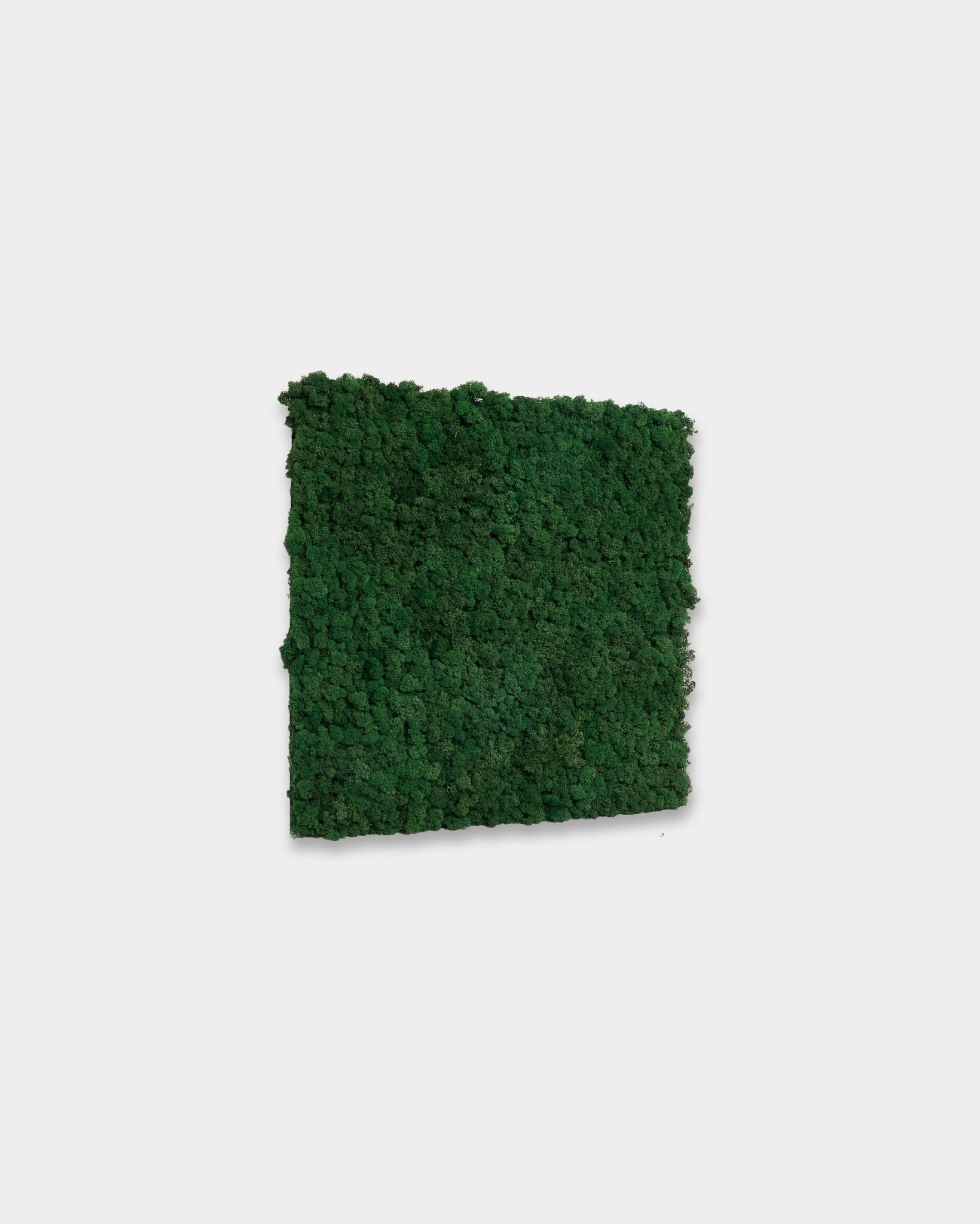 WoodUpp Akupixel Moss Green Akoestisch paneel (60 x 60 cm) in een levendige moss green kleur, afgebeeld tegen een strakke witte achtergrond.