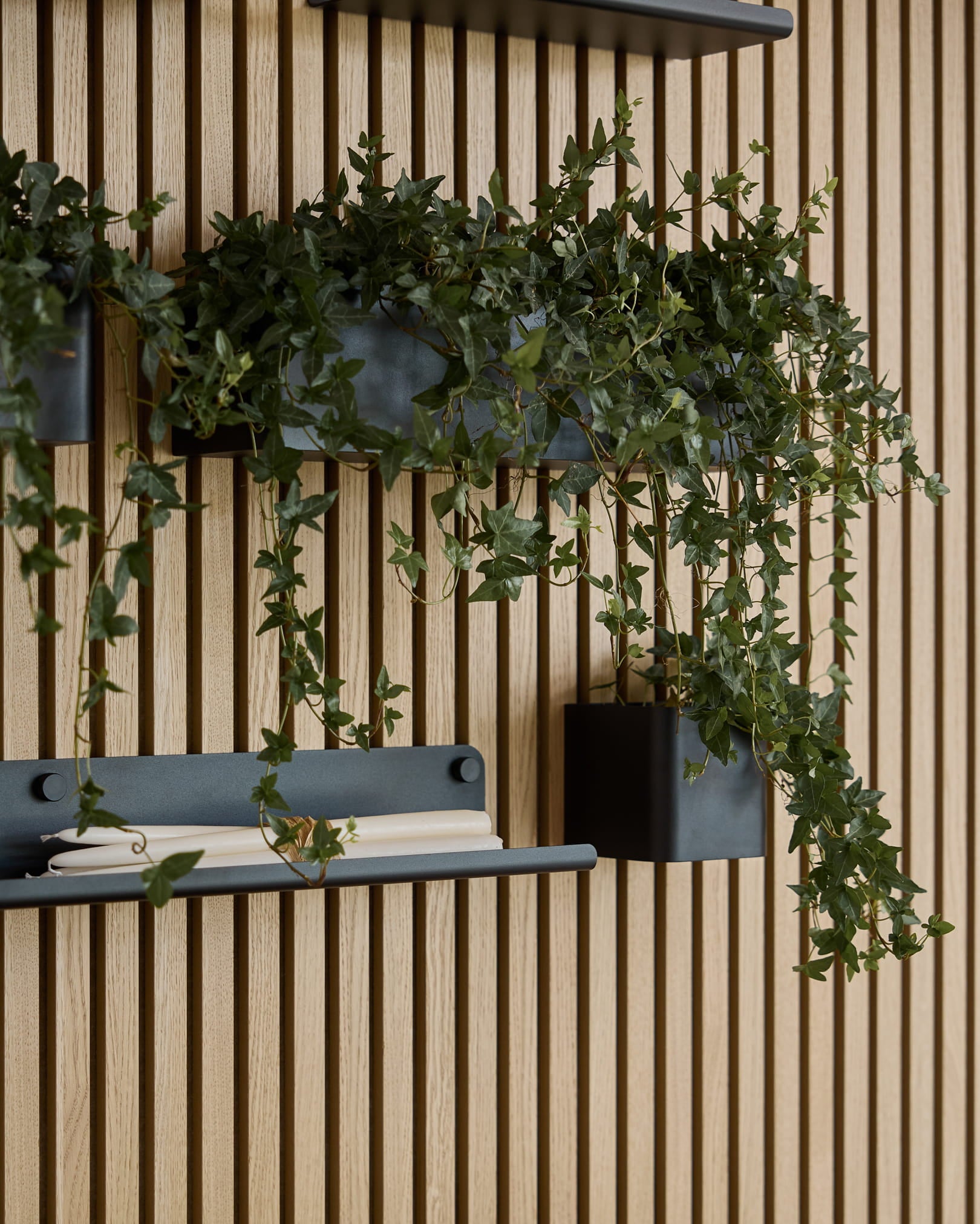 Hangende groene klimop in een black WoodUpp Norr plantenbak (47,9 cm) is gemonteerd op een WoodUpp Akupanel lattenwandpaneel boven een plank met een opgerolde witte handdoek.