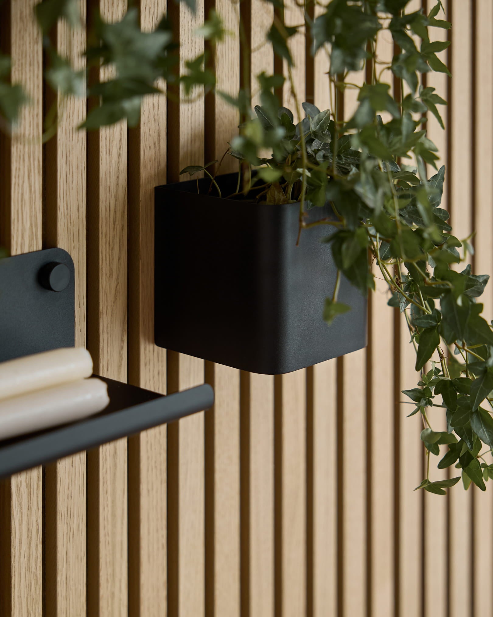 Een black 11,9 cm WoodUpp Norr Plant Box met groene klimop hangt aan een licht houten Akupanel Akoestisch paneel; een deel van een bijpassende plank met opgerolde papieren is zichtbaar.