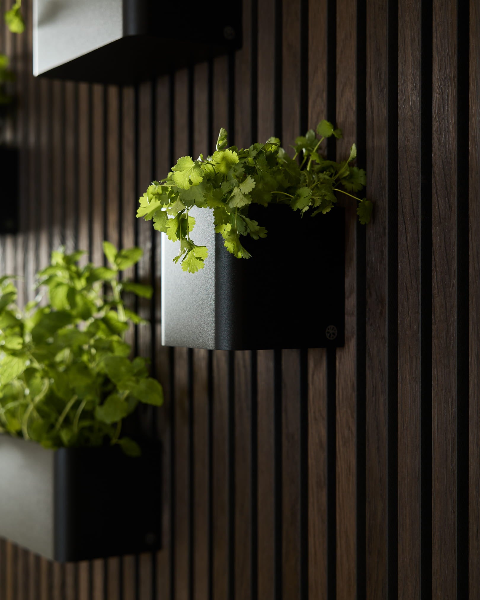 Groene planten in de WoodUpp Norr Plant Box, 11,9 cm Black, geplaatst tegen een donkere vertical akoestische houten paneelwand.