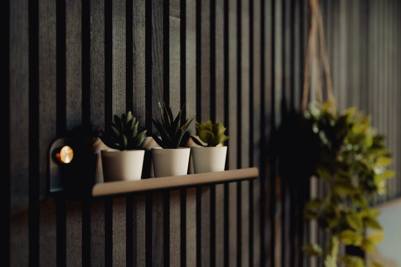 Drie kleine vetplantjes in potten op een zwevende plank op een donkere wand van akoestisch Akupanel-hout in Scandinavische stijl, met vaag hangend groen op de achtergrond.