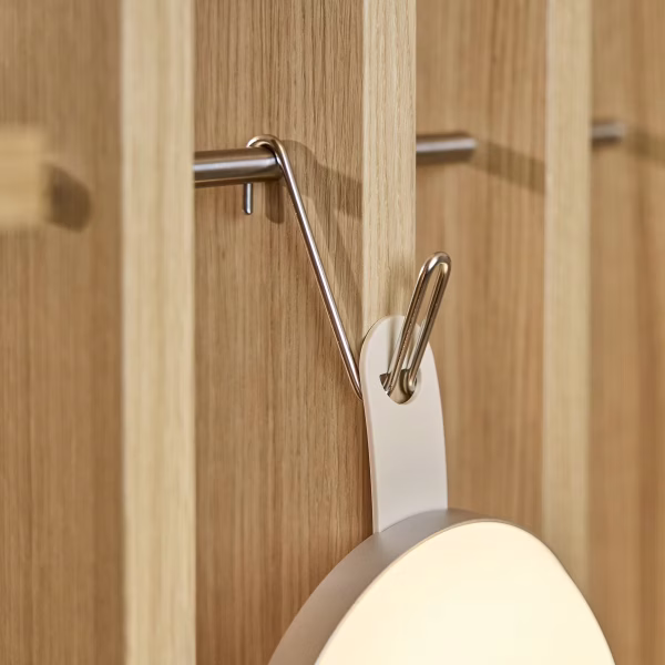 EMBRACE | Alva Wire Hook